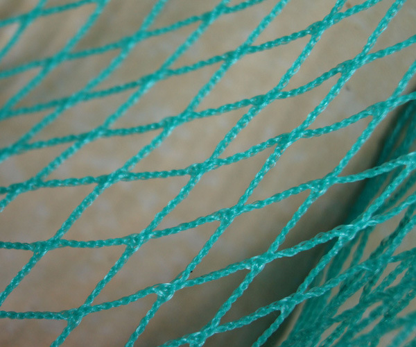 高密度聚乙烯经编无结网 2