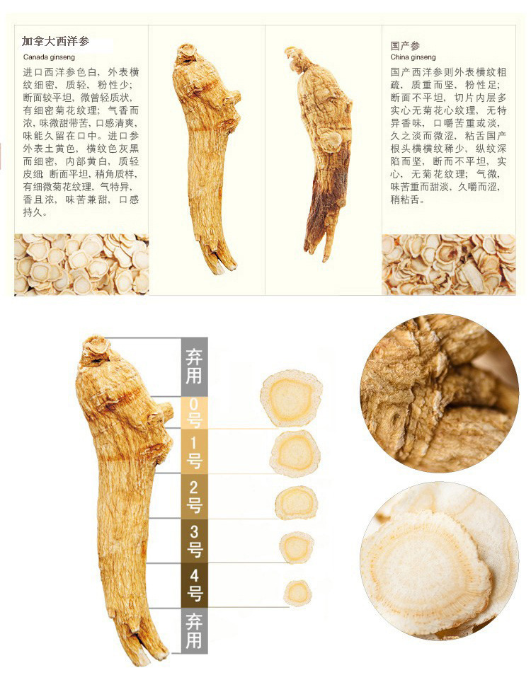 植物原药材 加拿大进口西洋参 10g中支