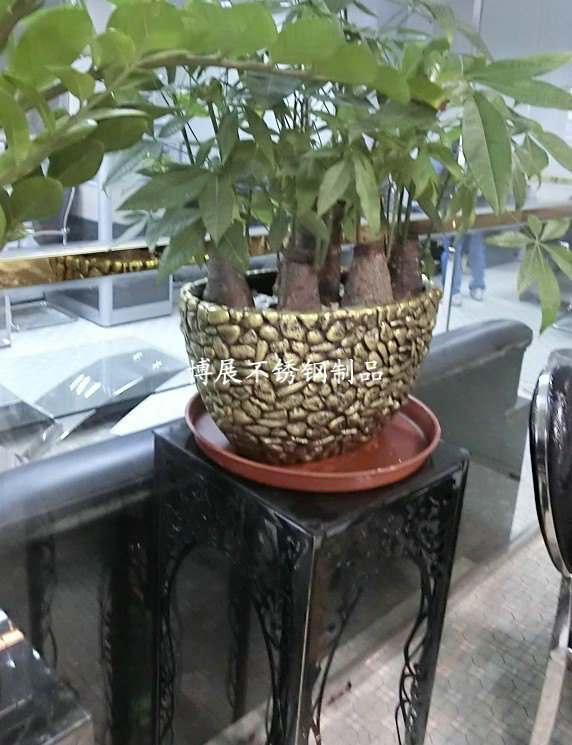 item-0075550E-DA4FCF0400000000