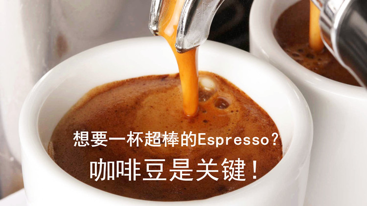 进口 意大利咖啡豆 咖啡粉 意式浓缩咖啡 秒杀星巴克 批发图片_5