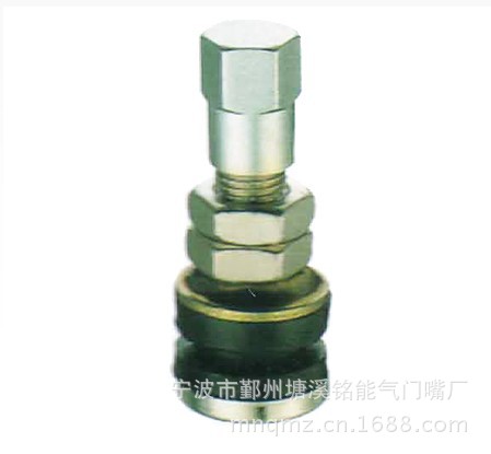 供应自行车气筒塑料气门嘴 美嘴单头气门� 无内胎气门嘴