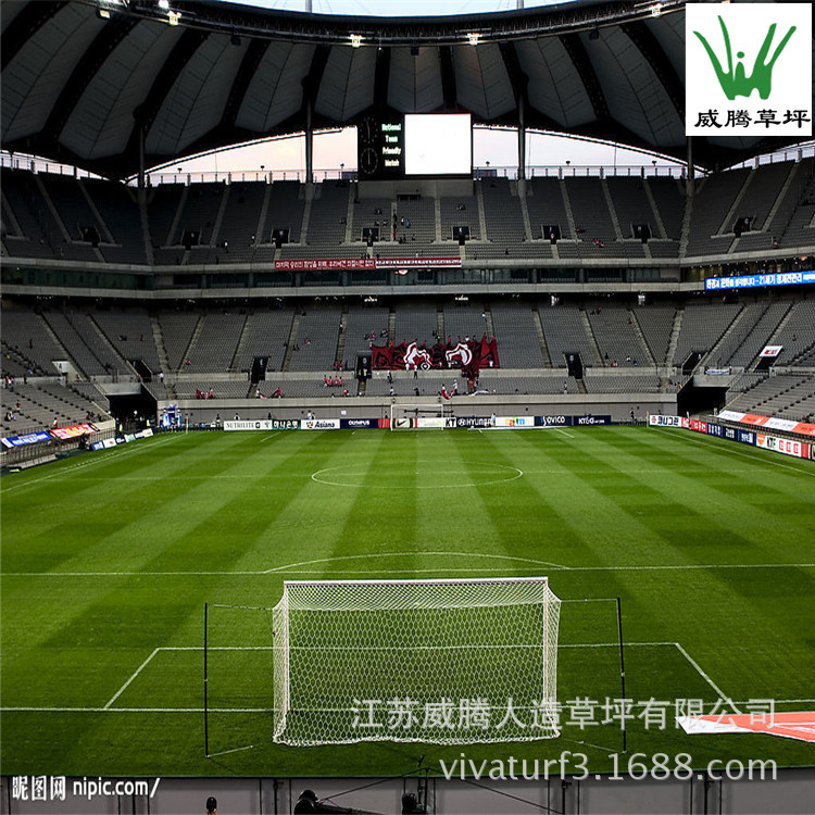 2339532_094142071_2[1]