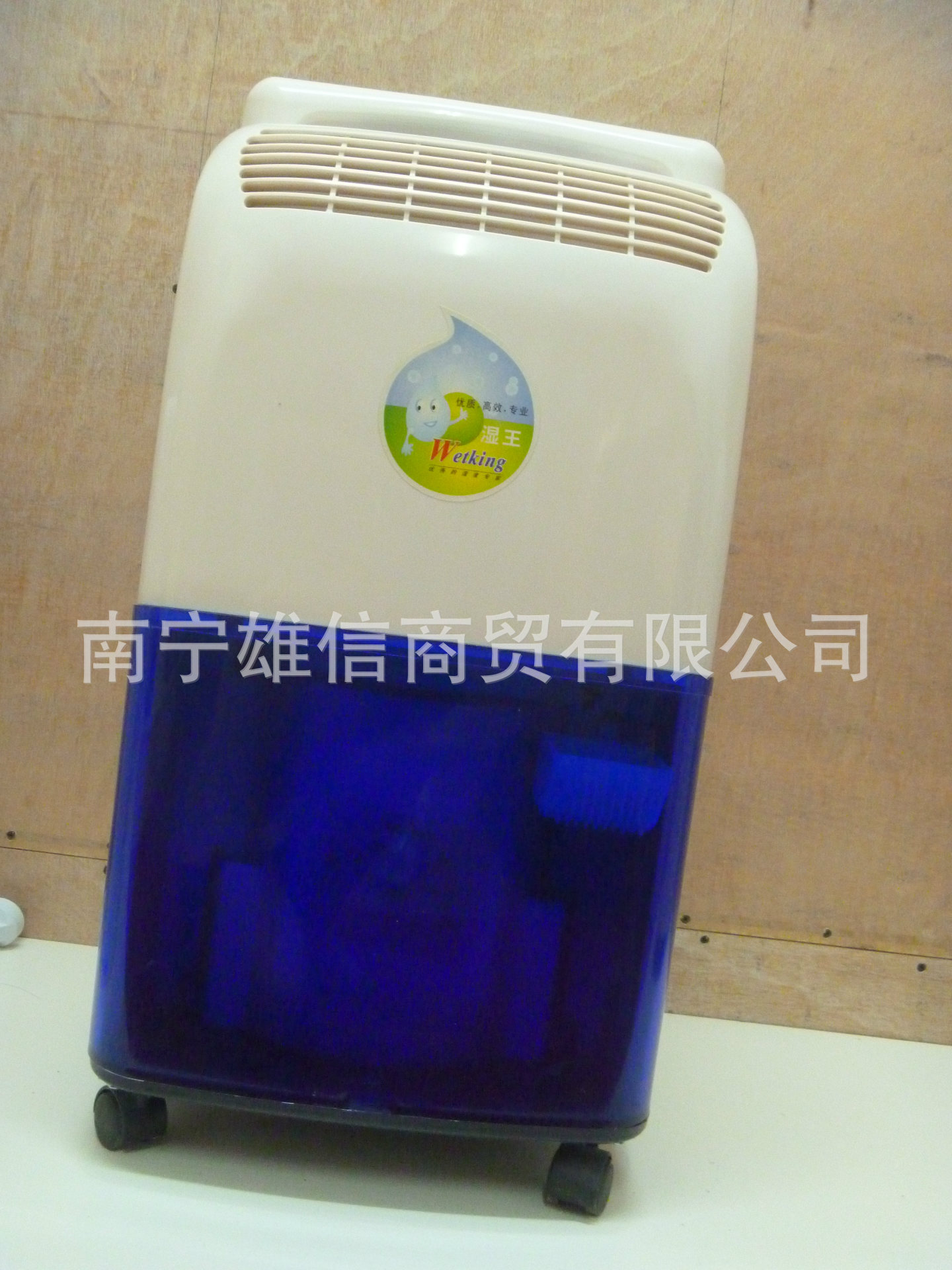 P1050928