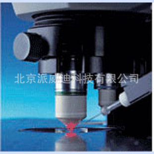 1124284413_683455526