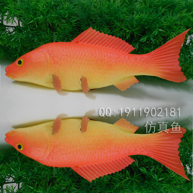仿真大号鱼 斯鲁克70cm 仿生产品 假鱼展览鱼 塑料鱼图片_14