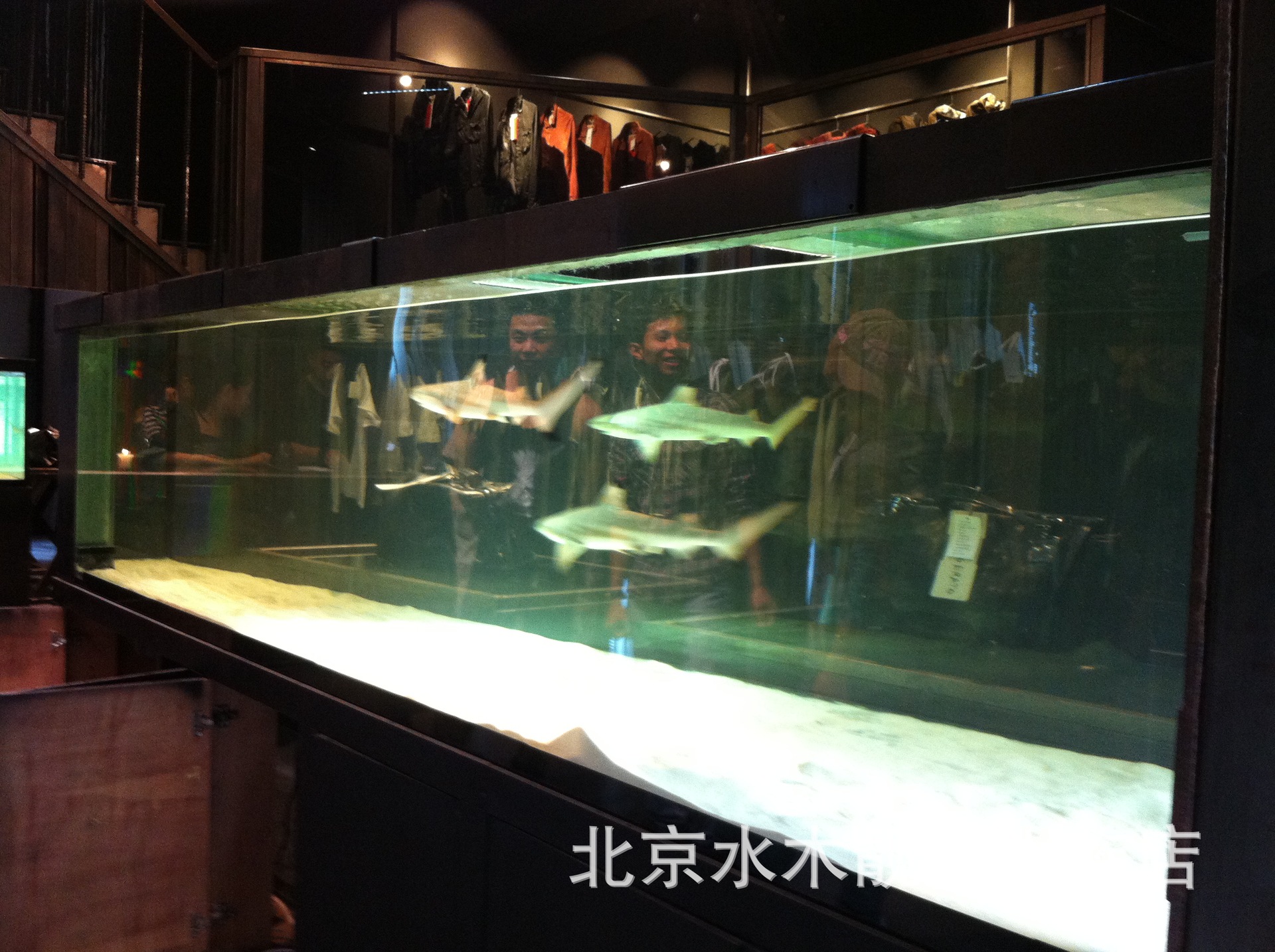 【大型鲨鱼鱼缸 定做亚克力,玻璃鱼缸,超白鱼缸,龙鱼鱼缸