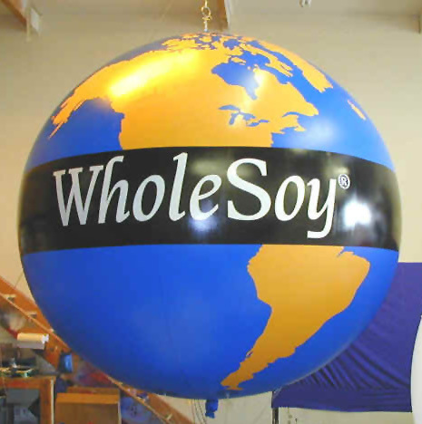 10wholesoyglobe