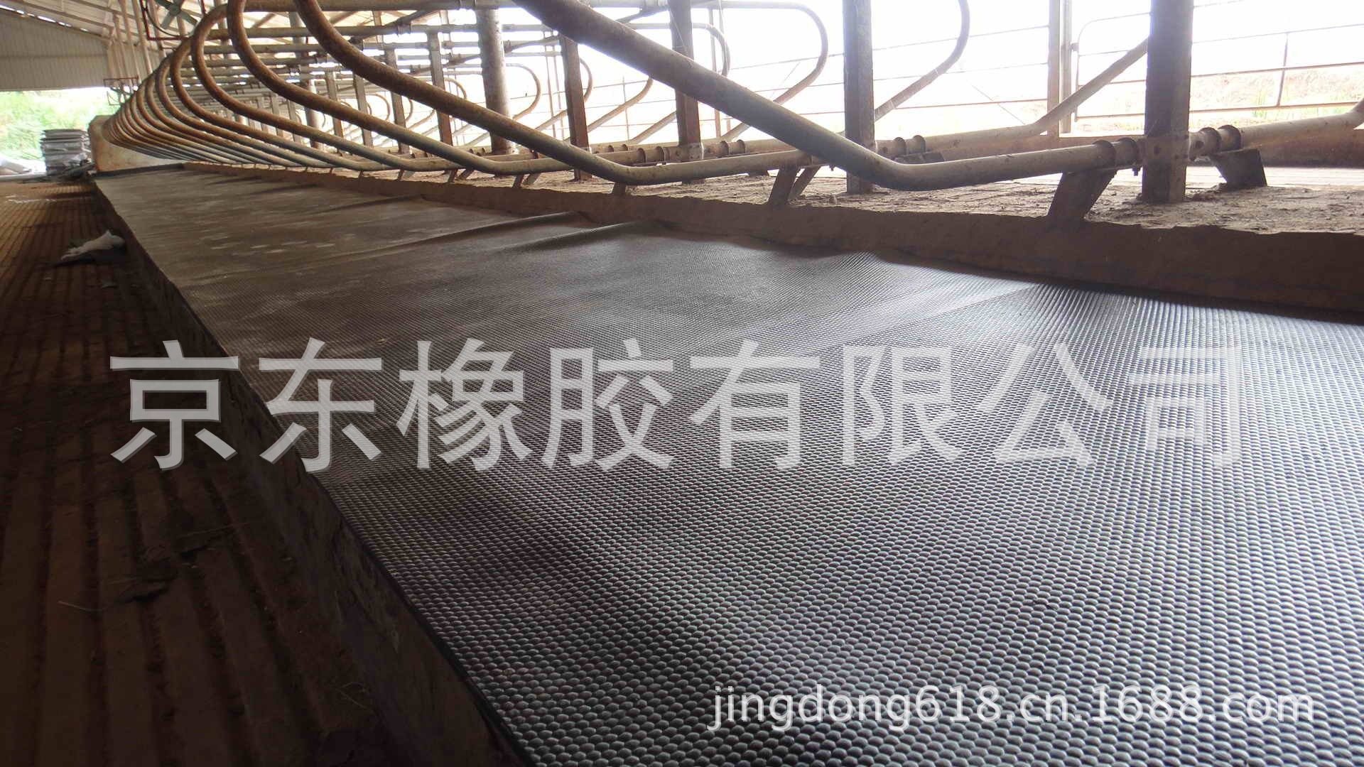 牛床卷材效果图1