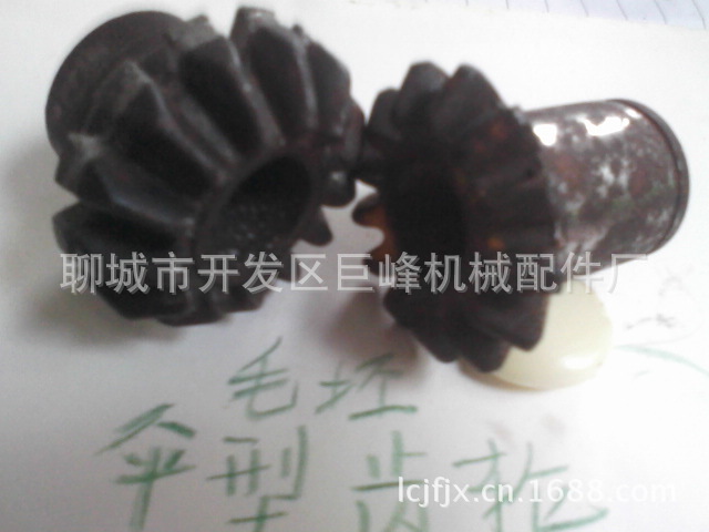 照片-0025