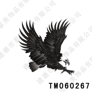 kinghorse 环保防水纹身贴纸 欧美老鹰图腾纹身贴男款tm060267