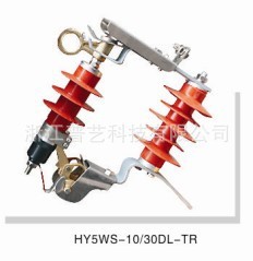 HY5WS-10-30DL-TR