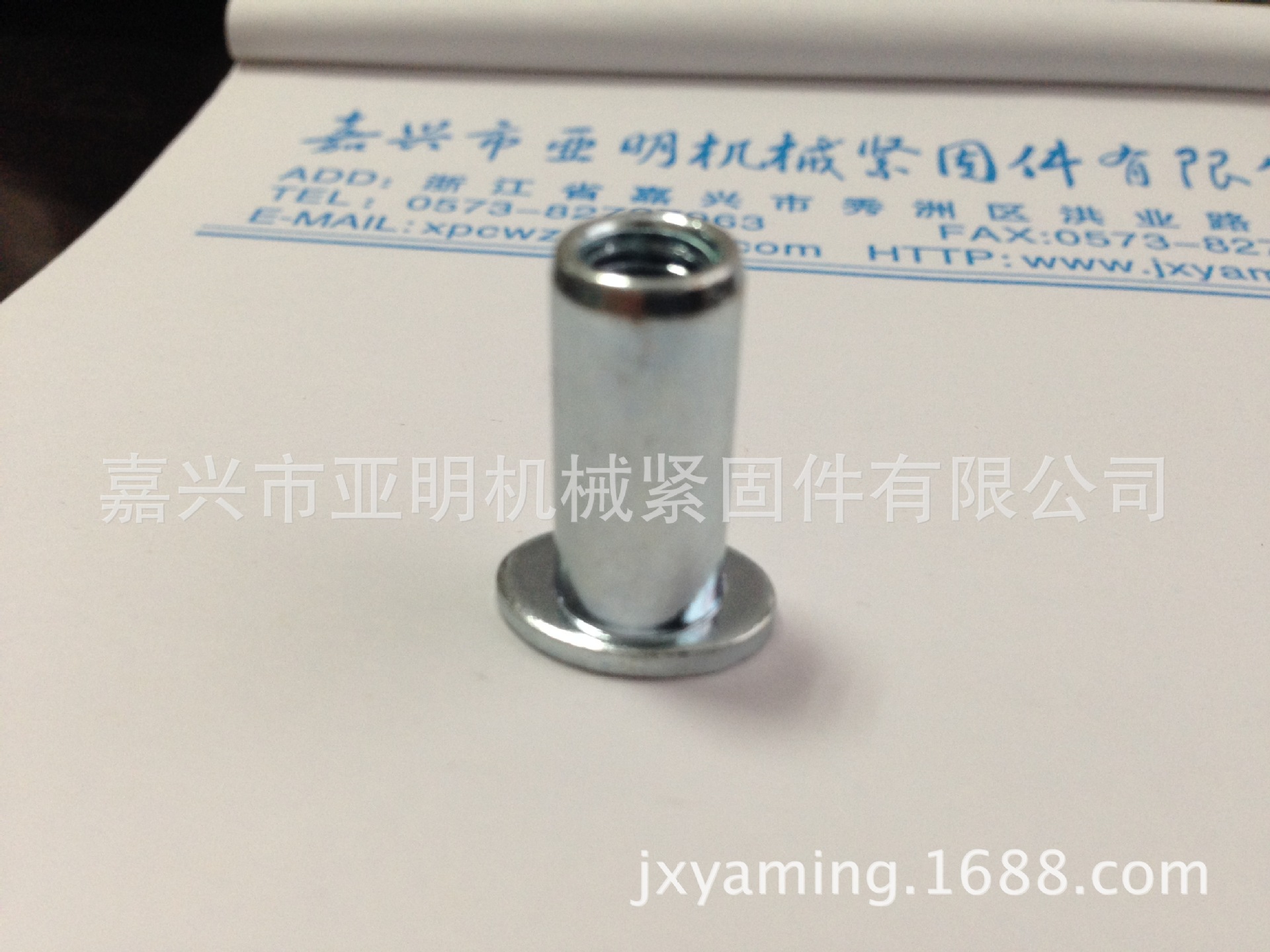 椭圆头铆螺母 (1)