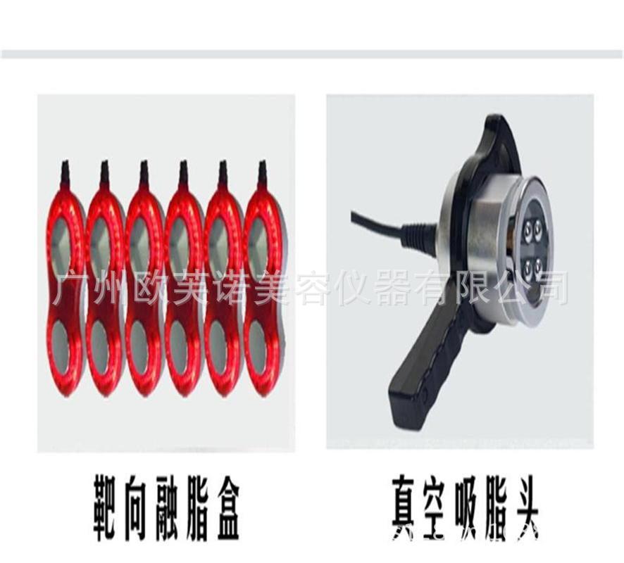 體態雕塑大師配件