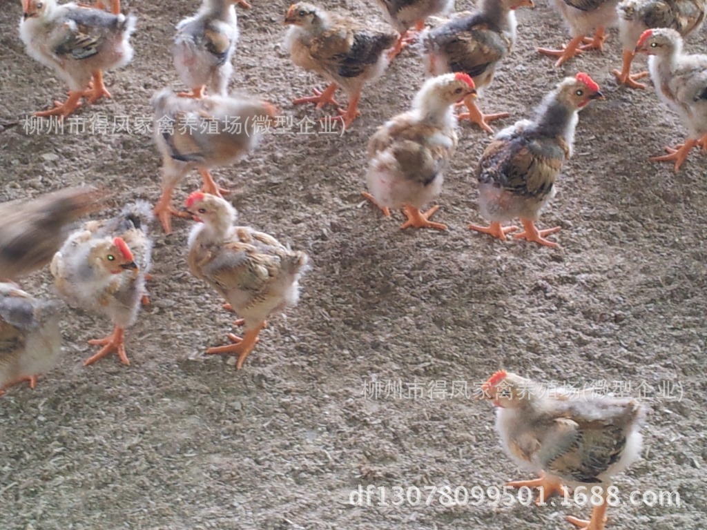 20130716_121138