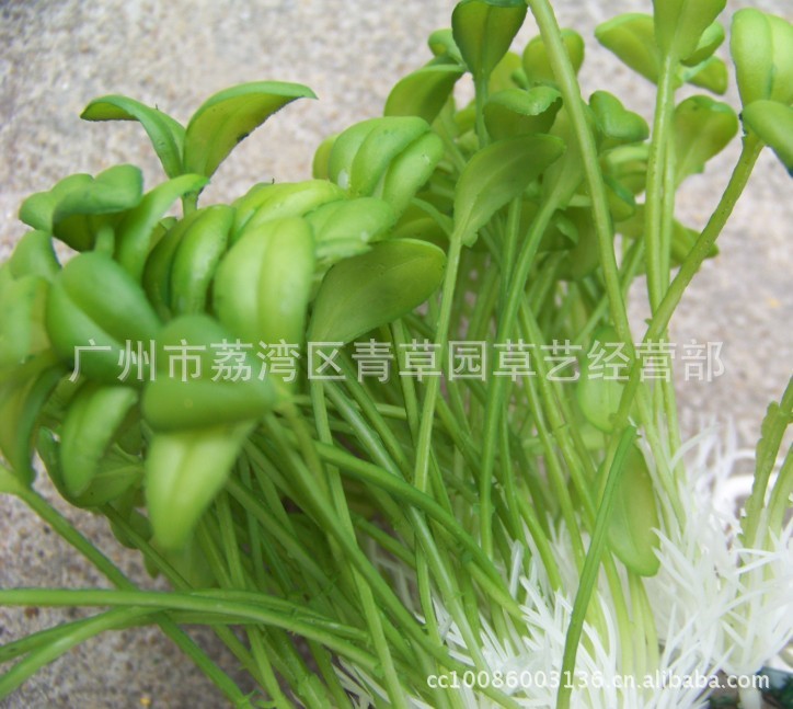 水草 新仿真豆芽苗仿真豆苗仿真植物绿色田园仿真胶料水草青草园