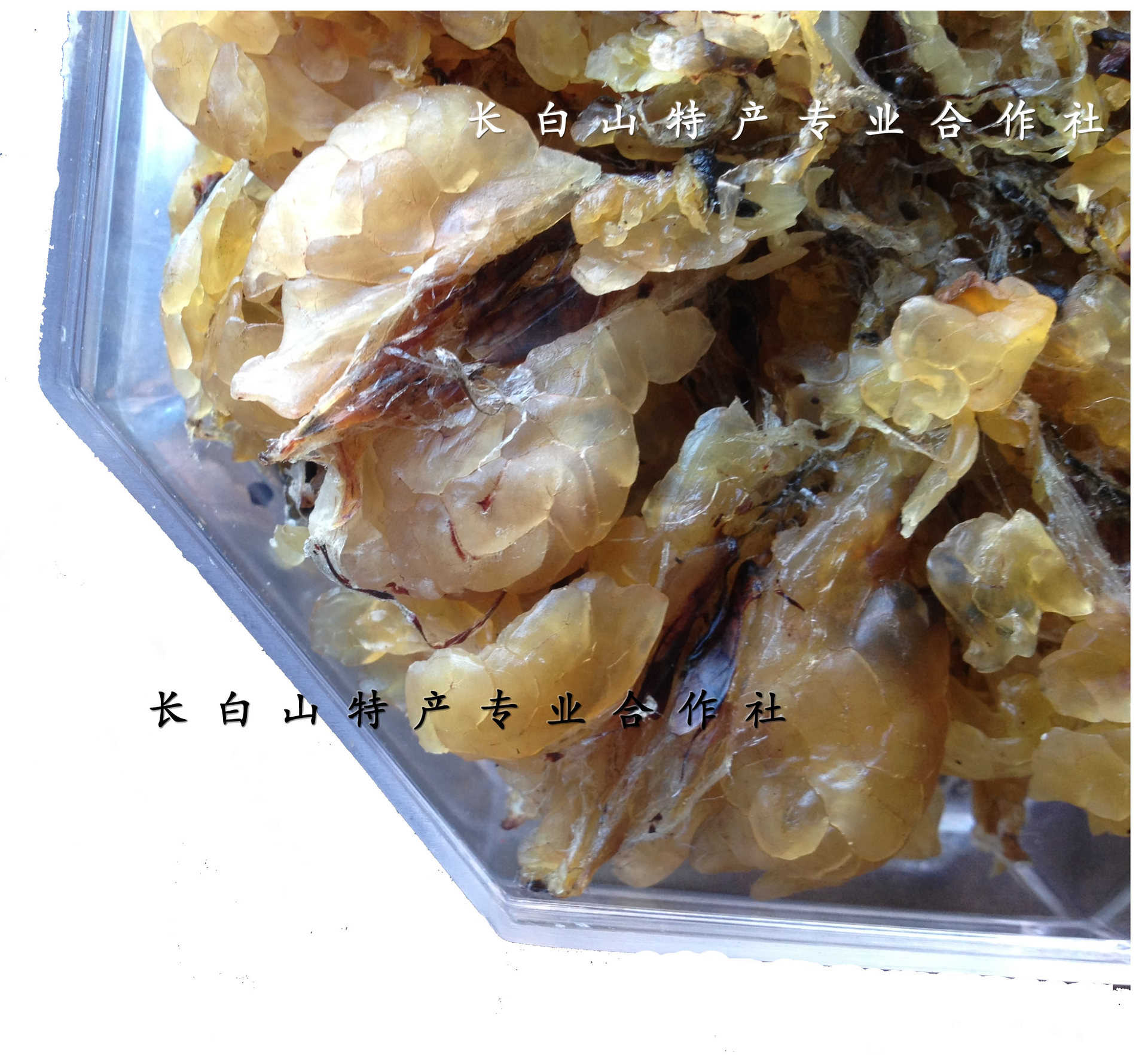 【实在人】长白山优质林蛙油小礼盒/雪蛤油/哈士膜油/5年生
