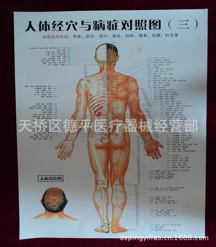 人體圖 1元