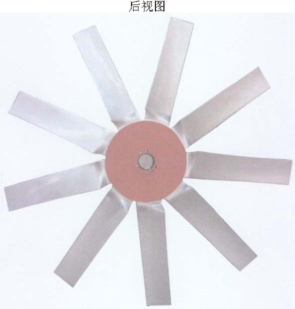 邦驰重锤式排风机图