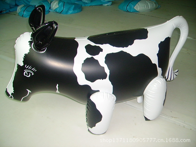 cow01