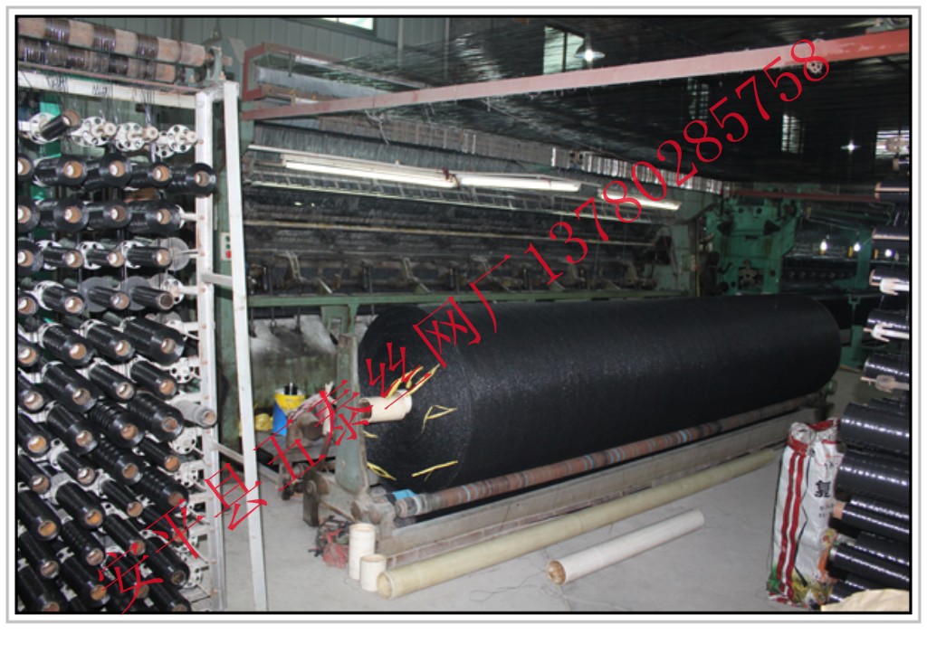 conew_201201130902398226