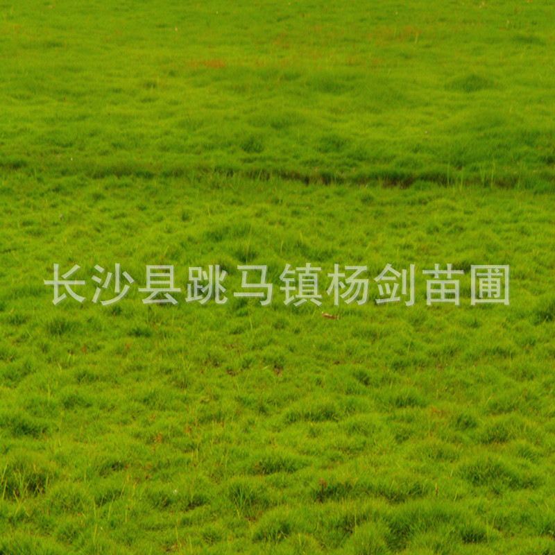 DSC01641_副本