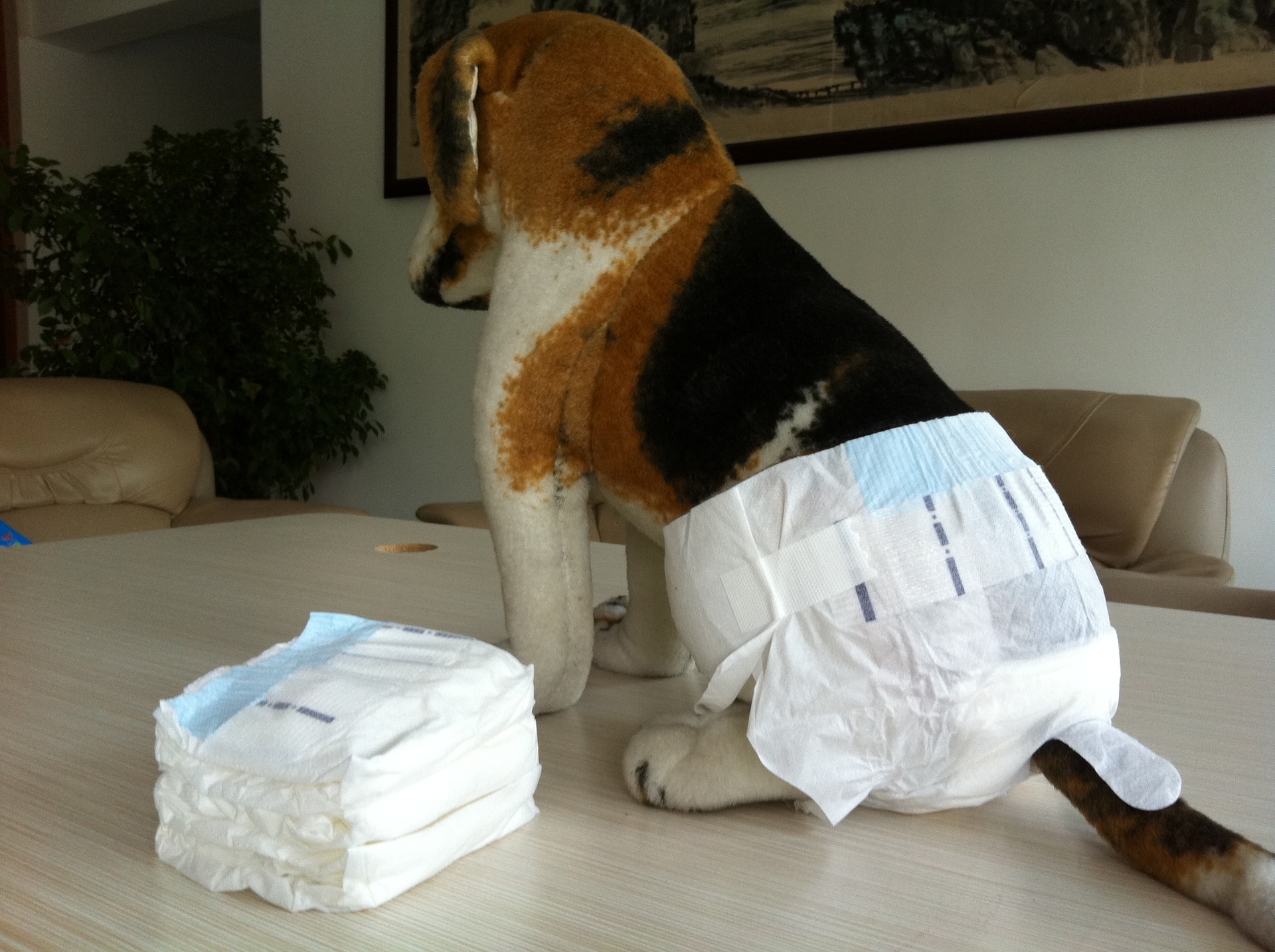 纸尿裤宠物纸尿裤狗裤petdiaper