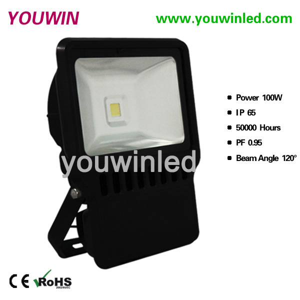 YW2012-100W-1