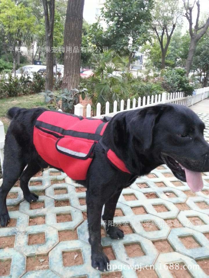 QQ圖片20130816200224