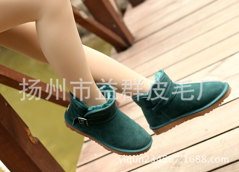 DPP_0033