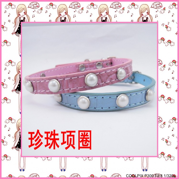 DSCN1046_conew1
