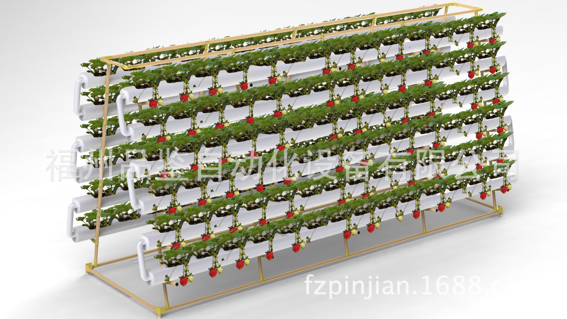 福建生态种植花架 草莓架子 简单架子 厂家直销批发草莓种植架