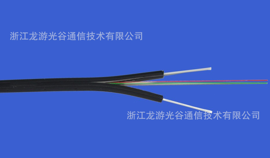 皮线光缆1