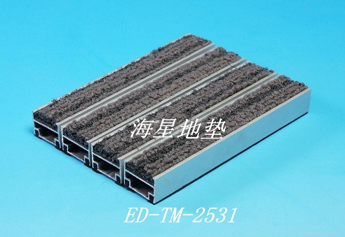 ED-TM-2531海星