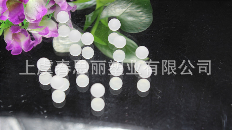 照片 263