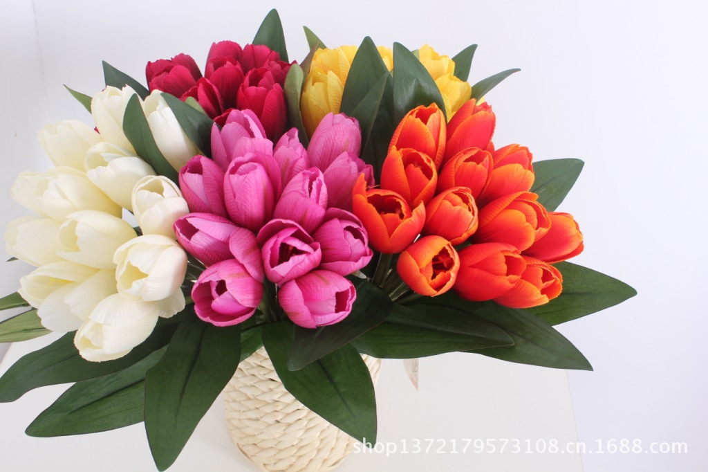 12头少叶郁金香5（Tulip Bunch) SJB1247