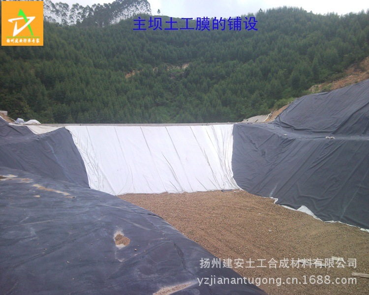 SNC00523副本_conew1