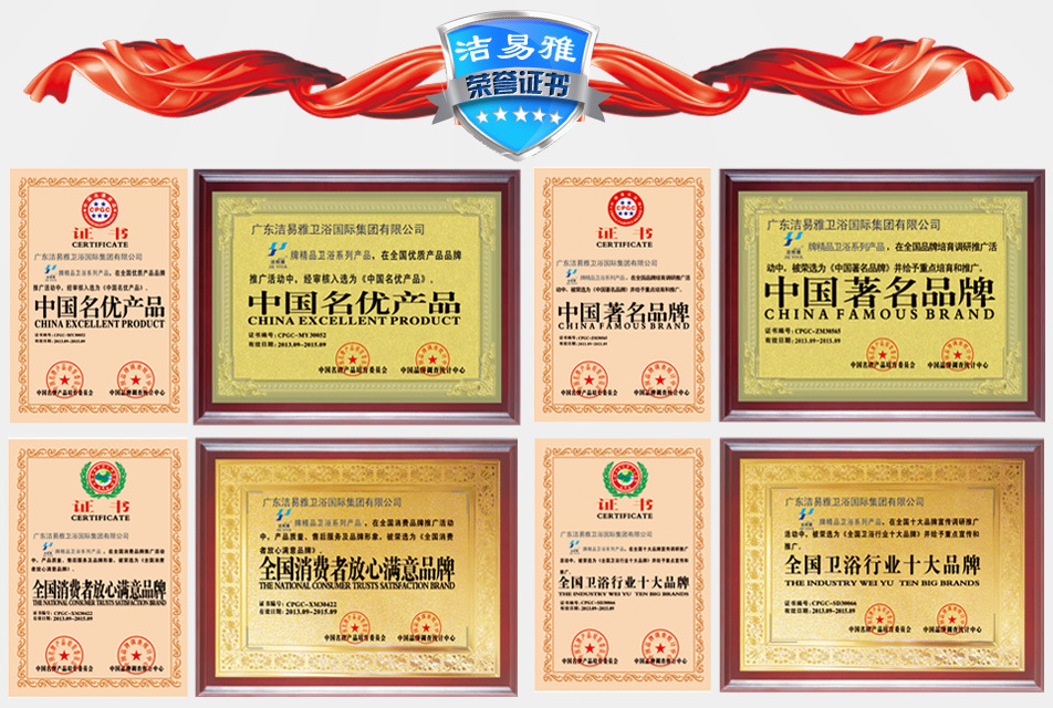 洁丽雅2013