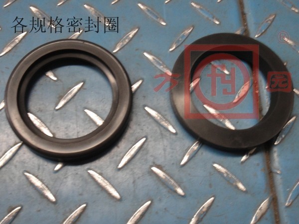各规格密封圈