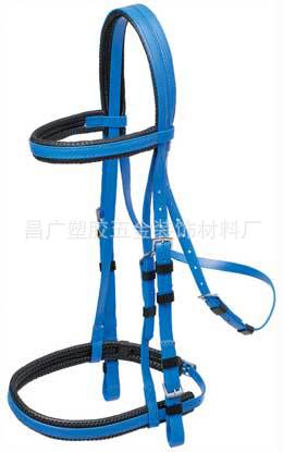 Padded Bridle with Cavesson