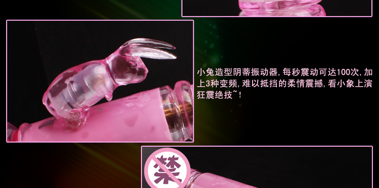 瘋狂兔子4