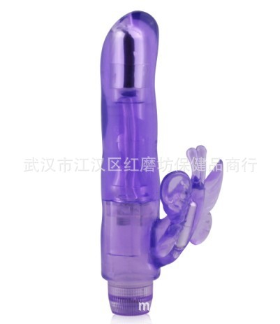 彩蝶追月2