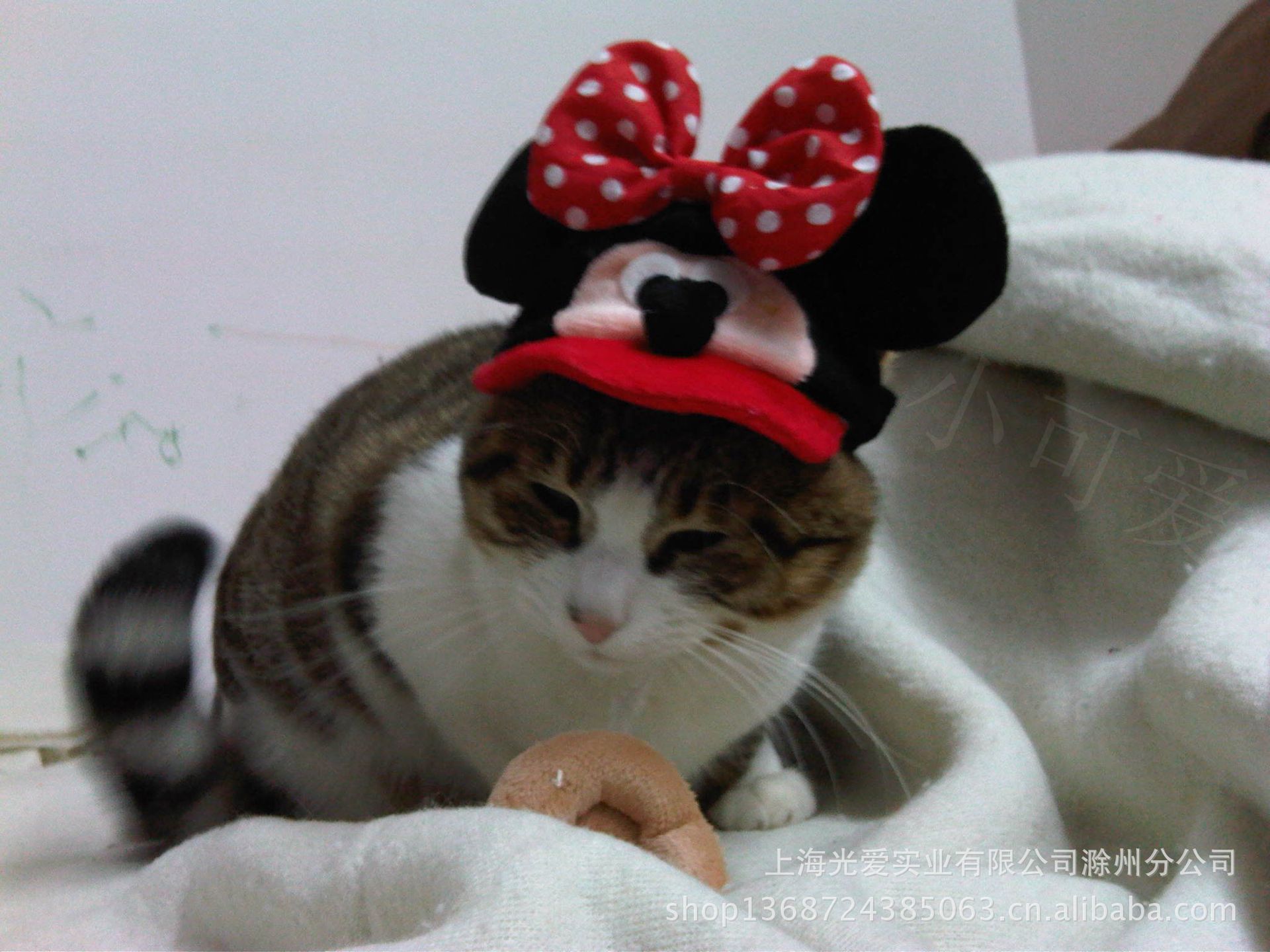 IMG00186-20121119-1809_副本