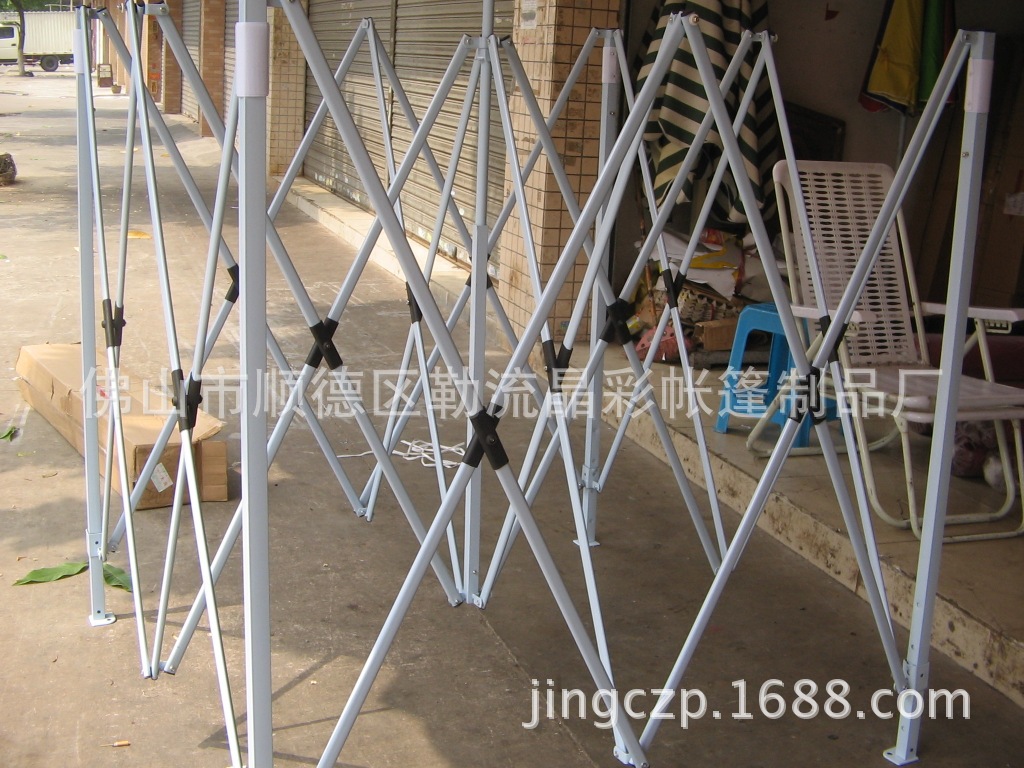 照片 254