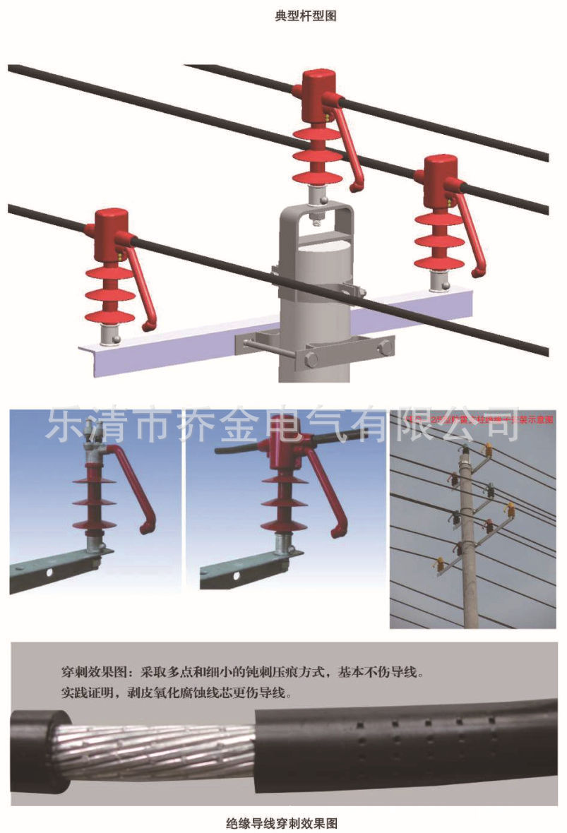 FEG-12-5 防雷支柱绝缘子-3