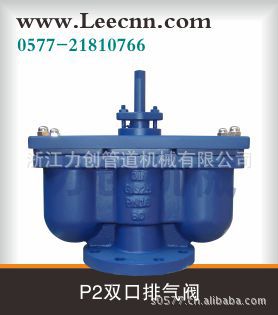P2双口排气阀