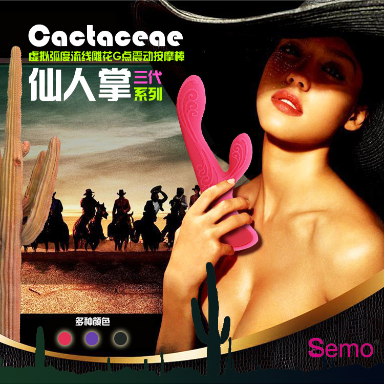 奇寶第三代仙人掌1