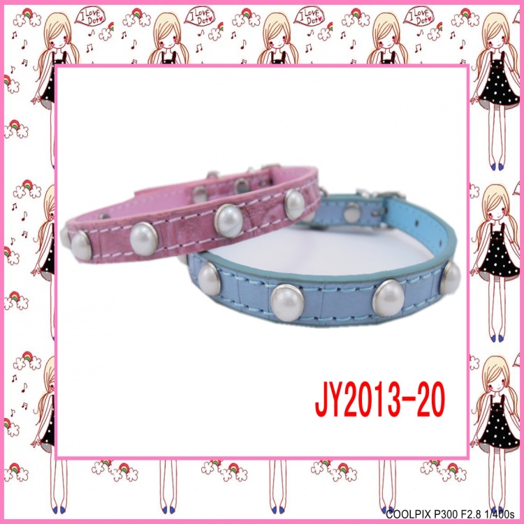 DSCN1045_conew1