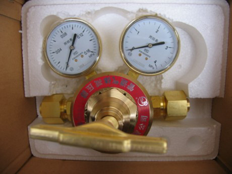 丙烷減壓器BWJ-2241
