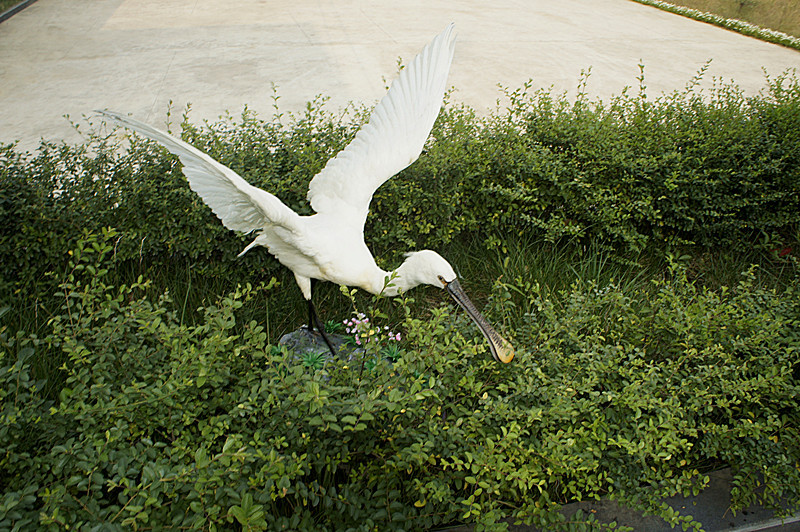 _DSC5965_副本