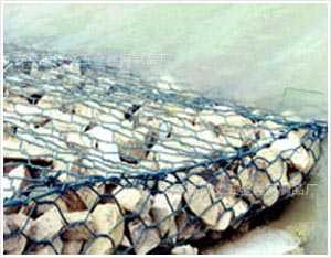 10102101570b6e20fdec86a21e